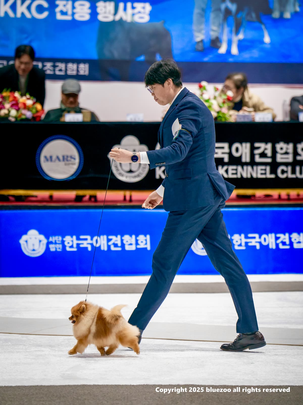 빌 5
