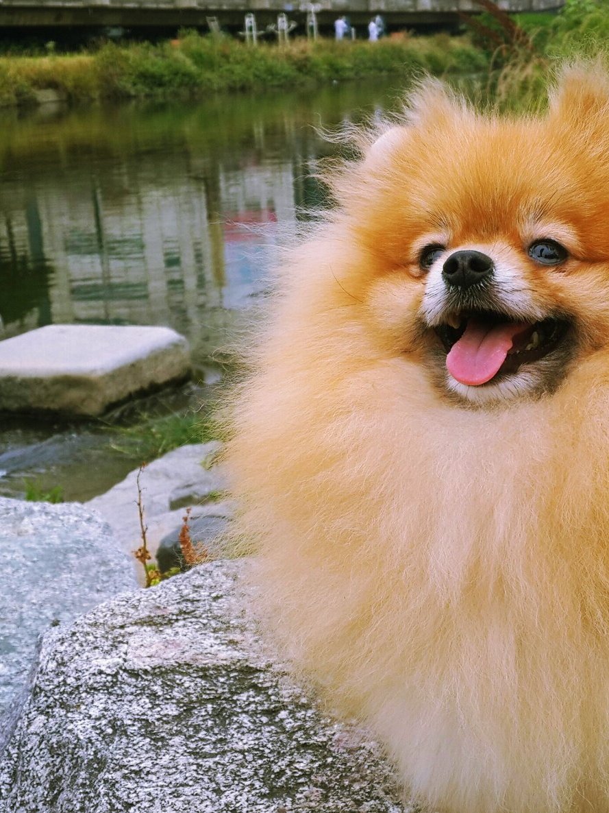 보물이 3