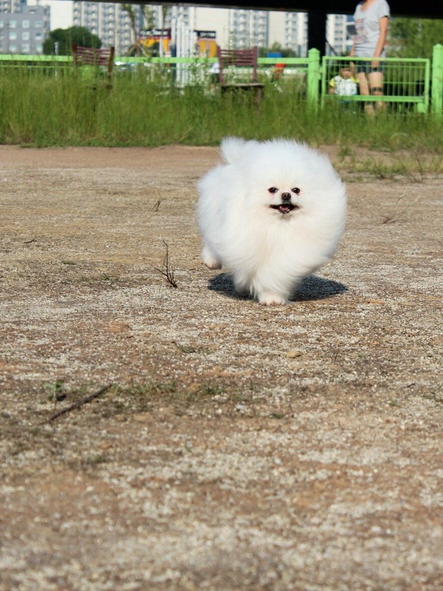 별순 2
