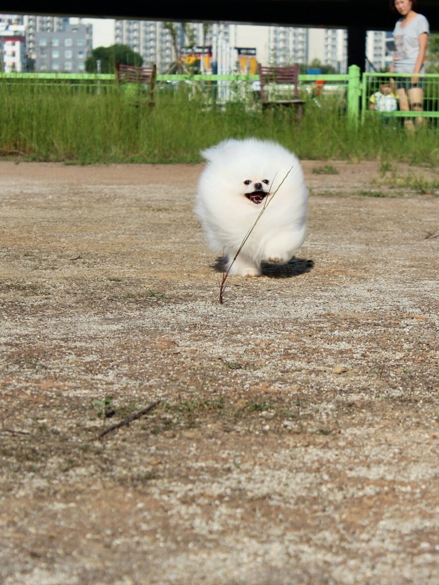별순 3