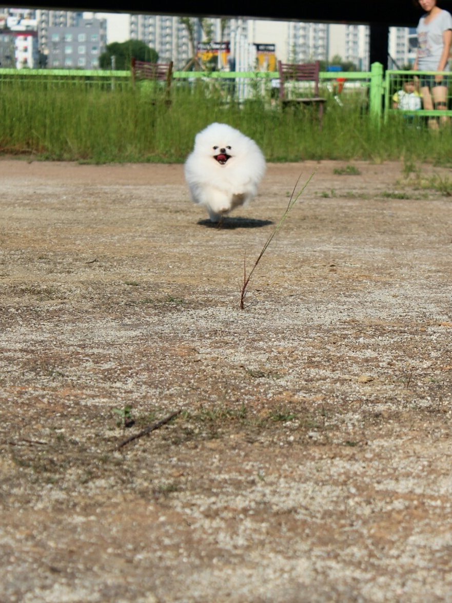 별순 5