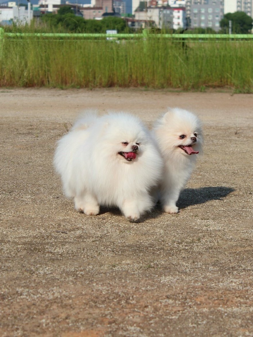 별순 9
