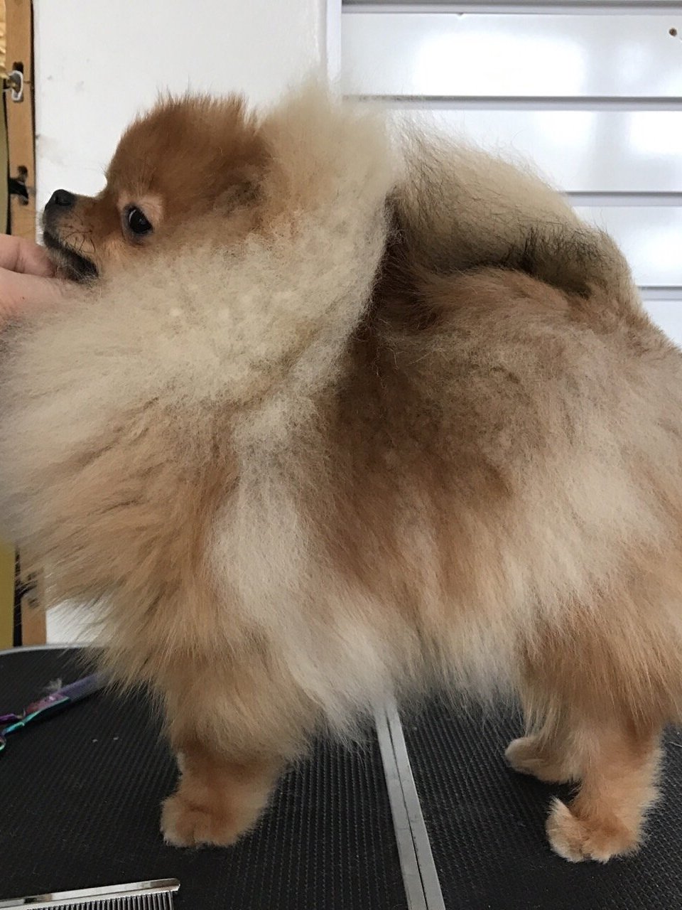 케딜락