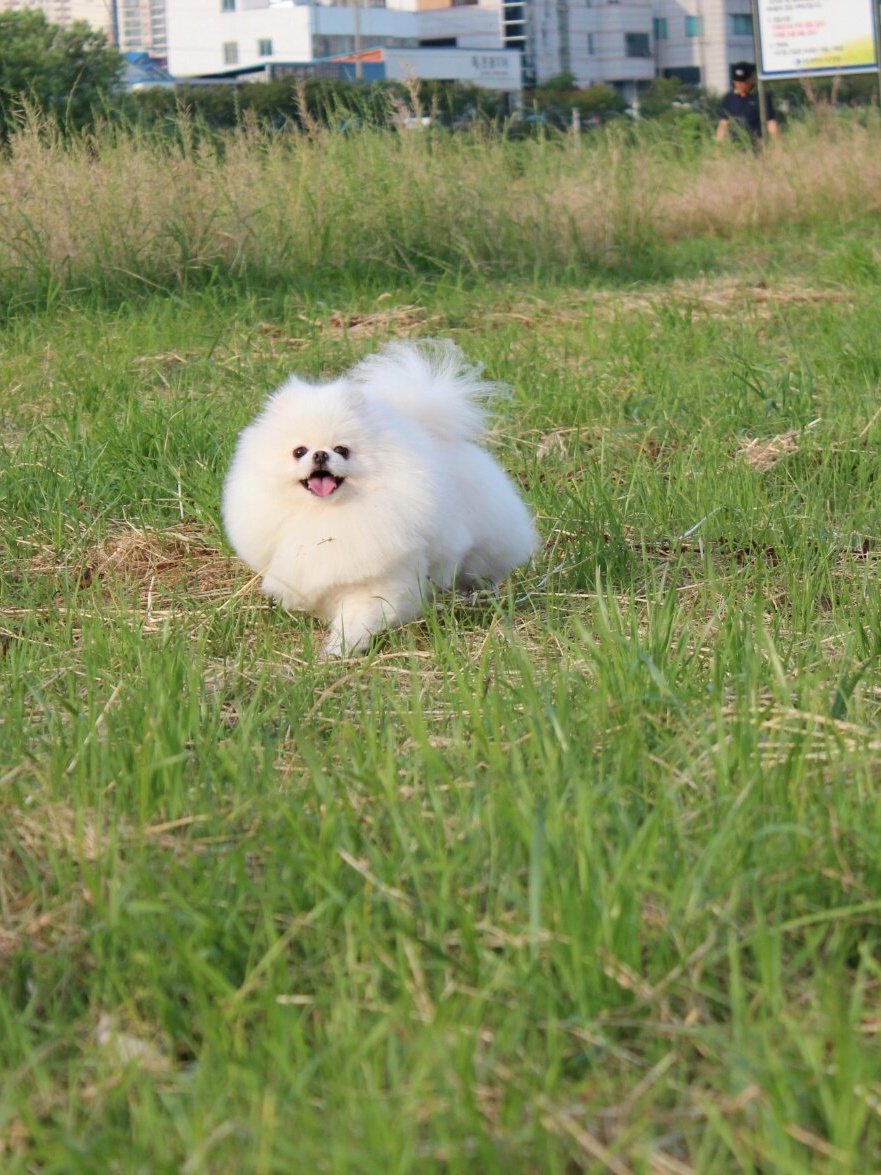 크리스탈 2