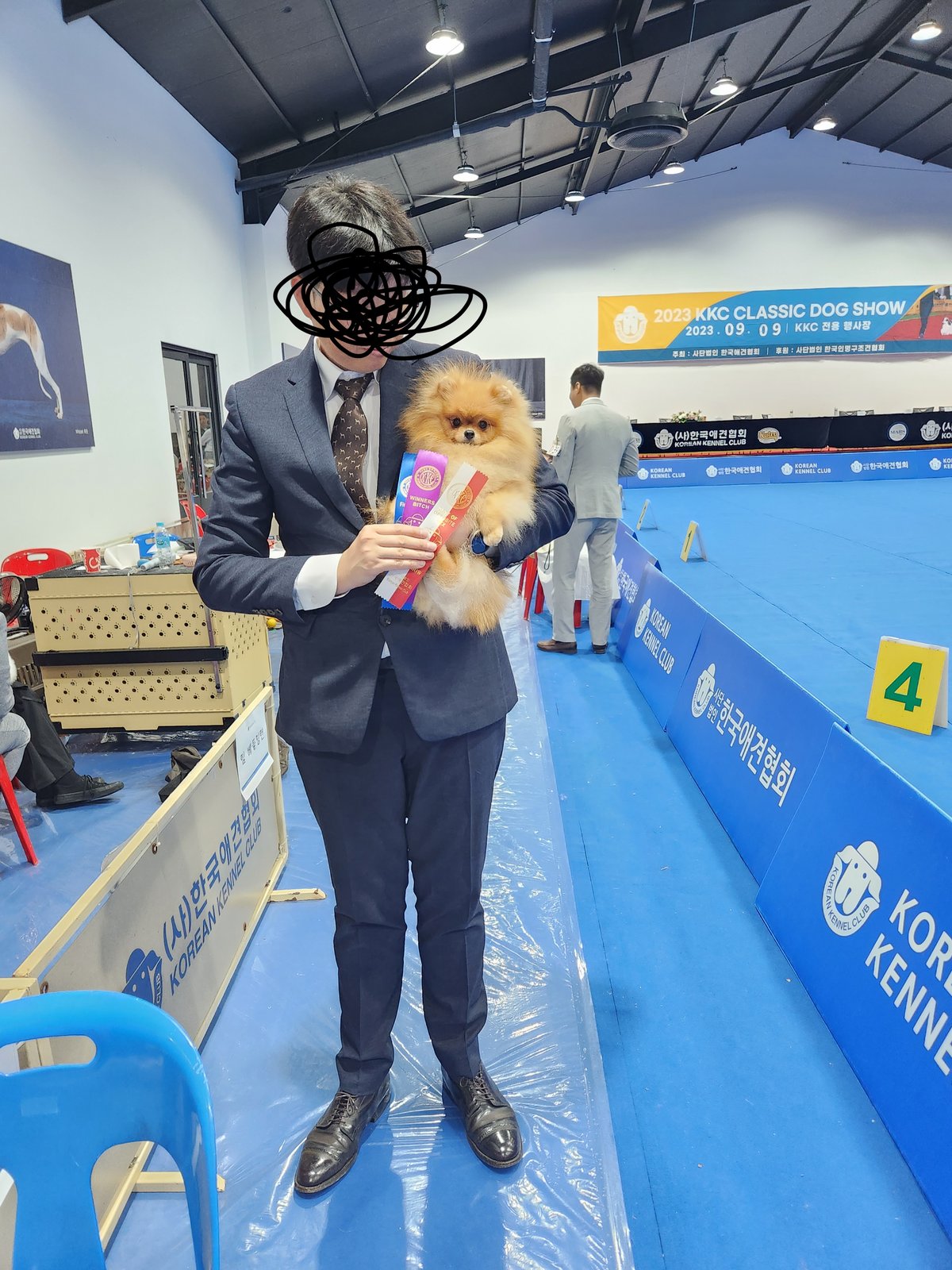 헤나
