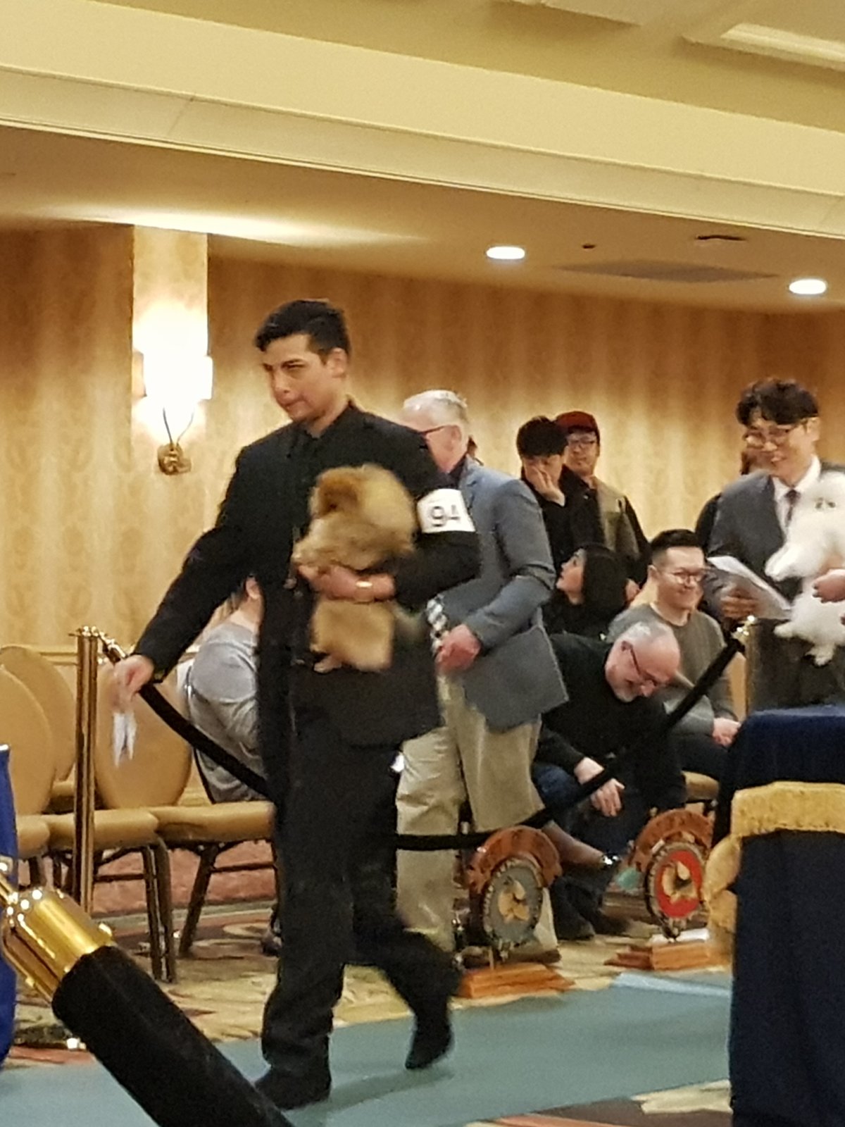 짱아 10
