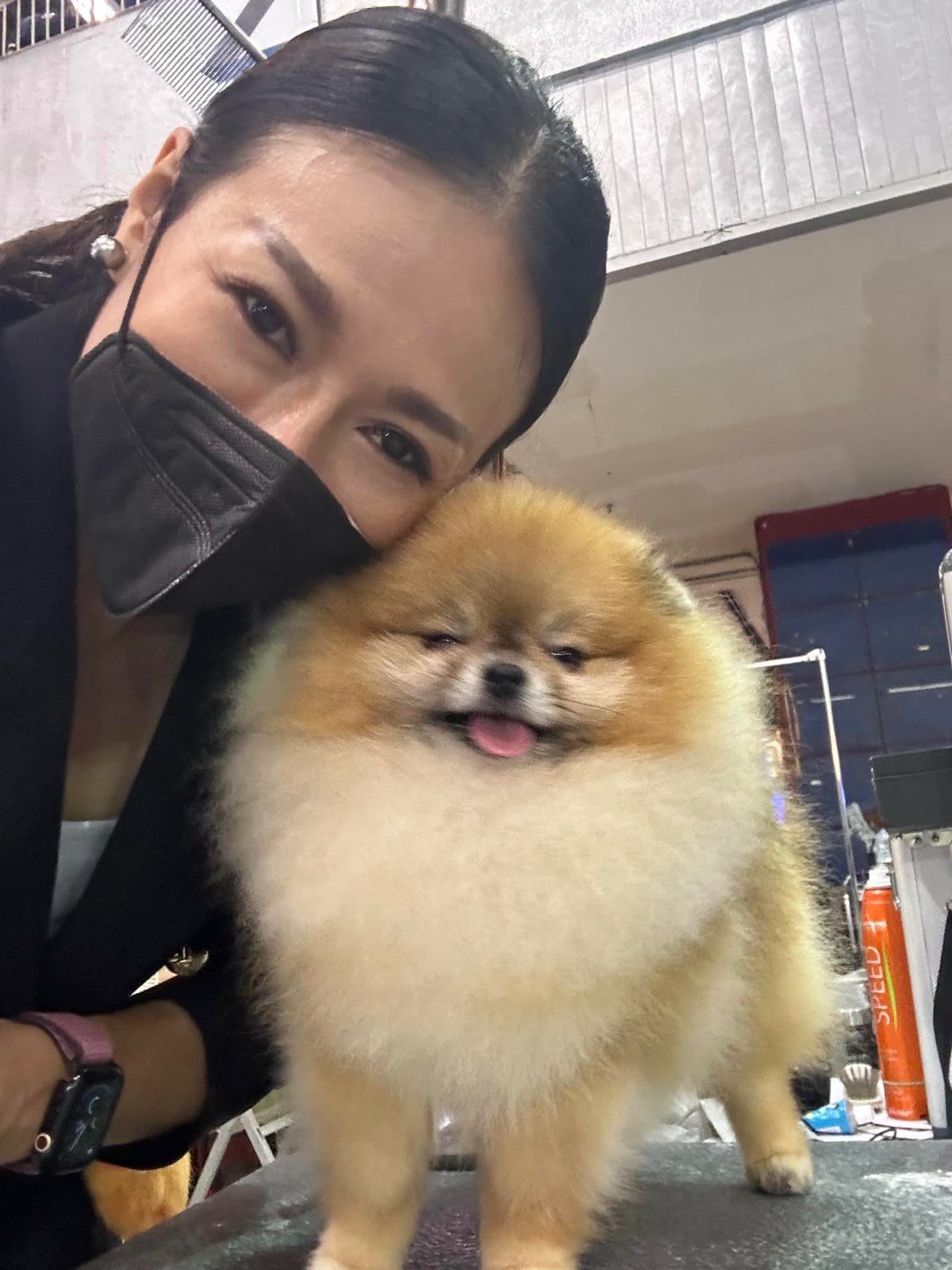 캉테 15