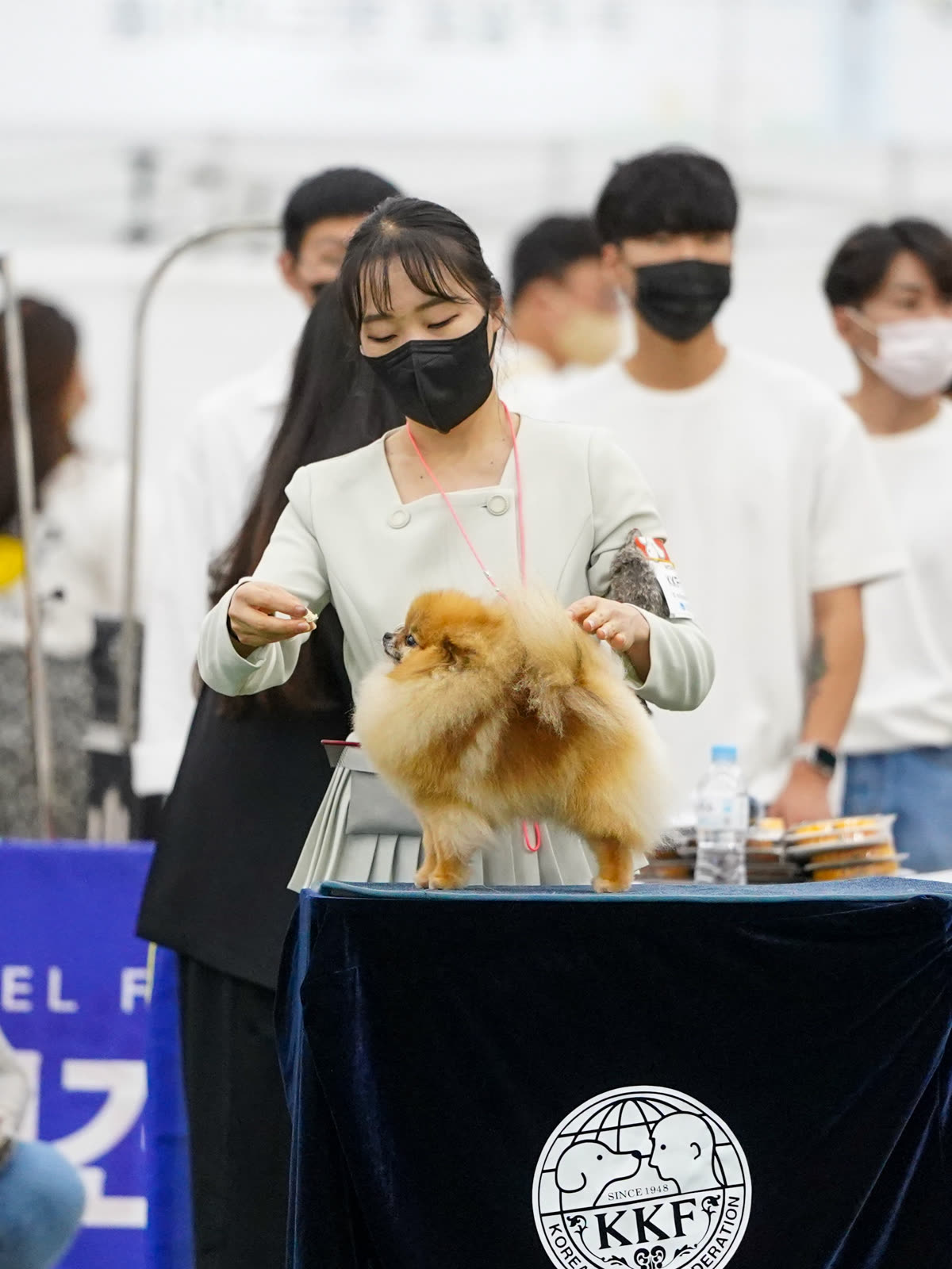 캉테 5