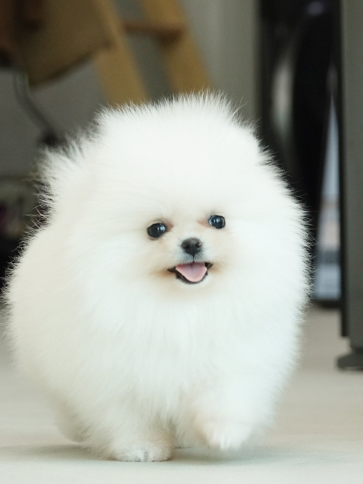 Manbuli