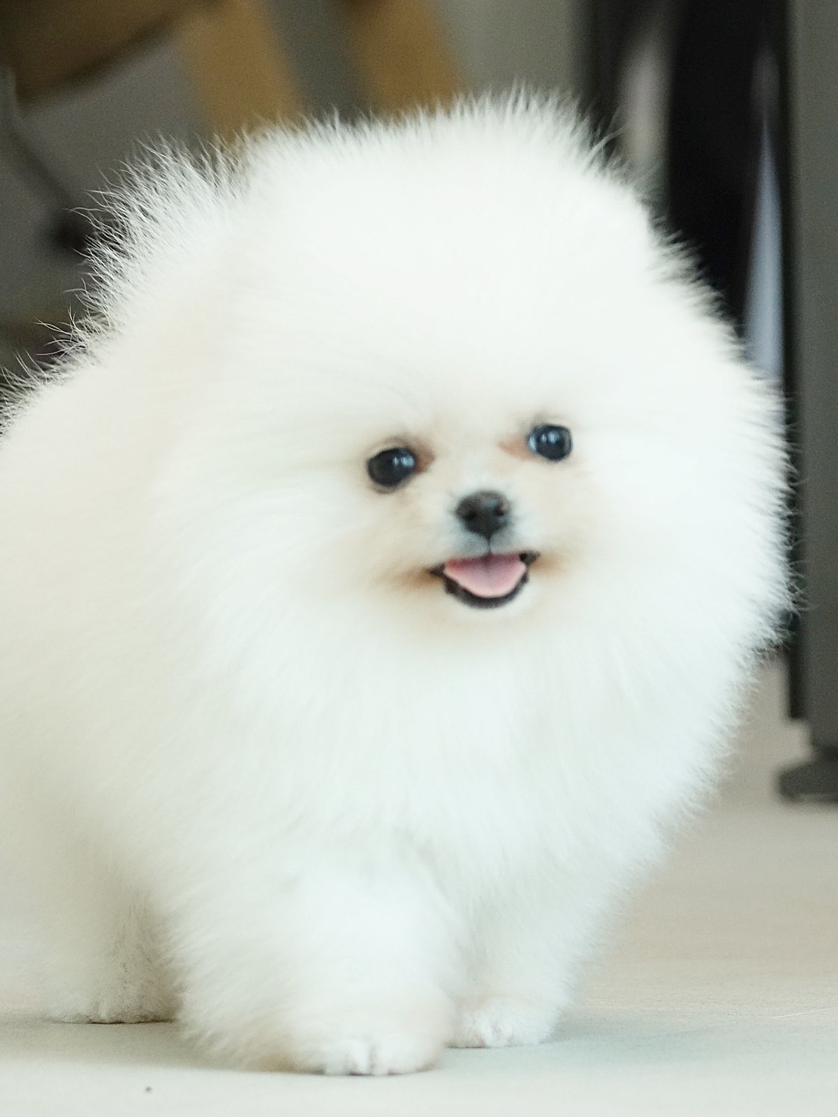 Manbuli 2