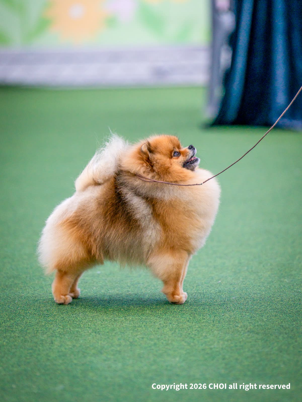 마늘
