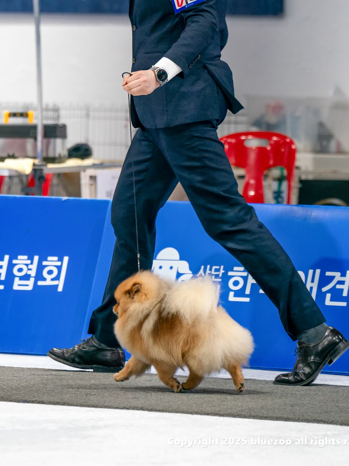 마늘 3