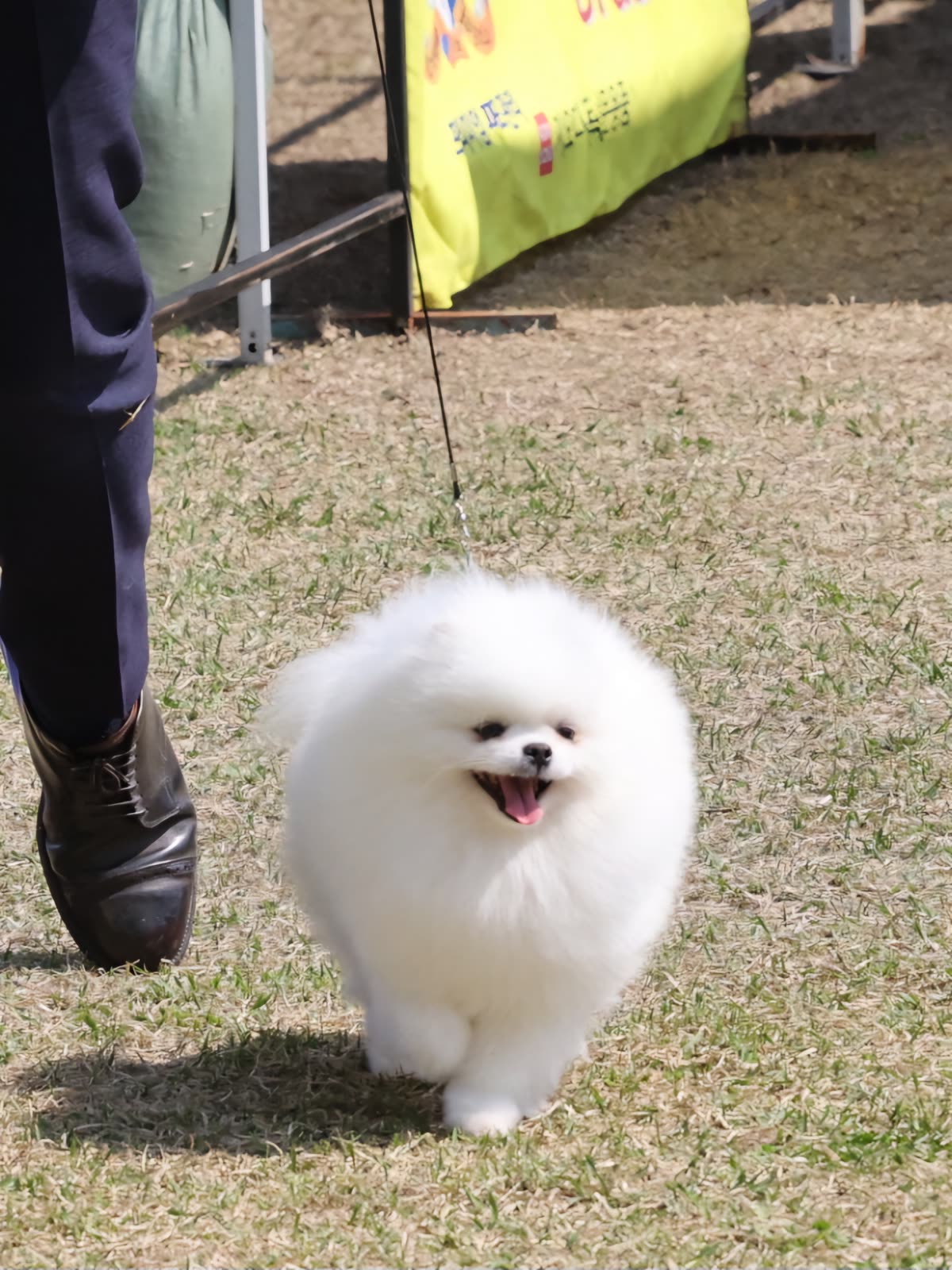 맹구