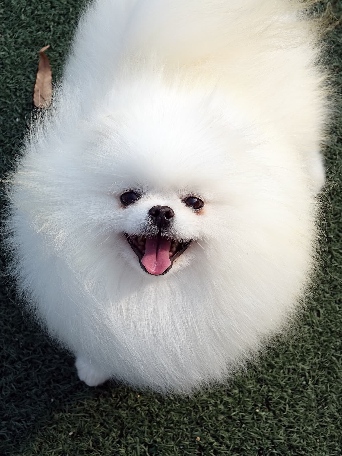 맹구 2