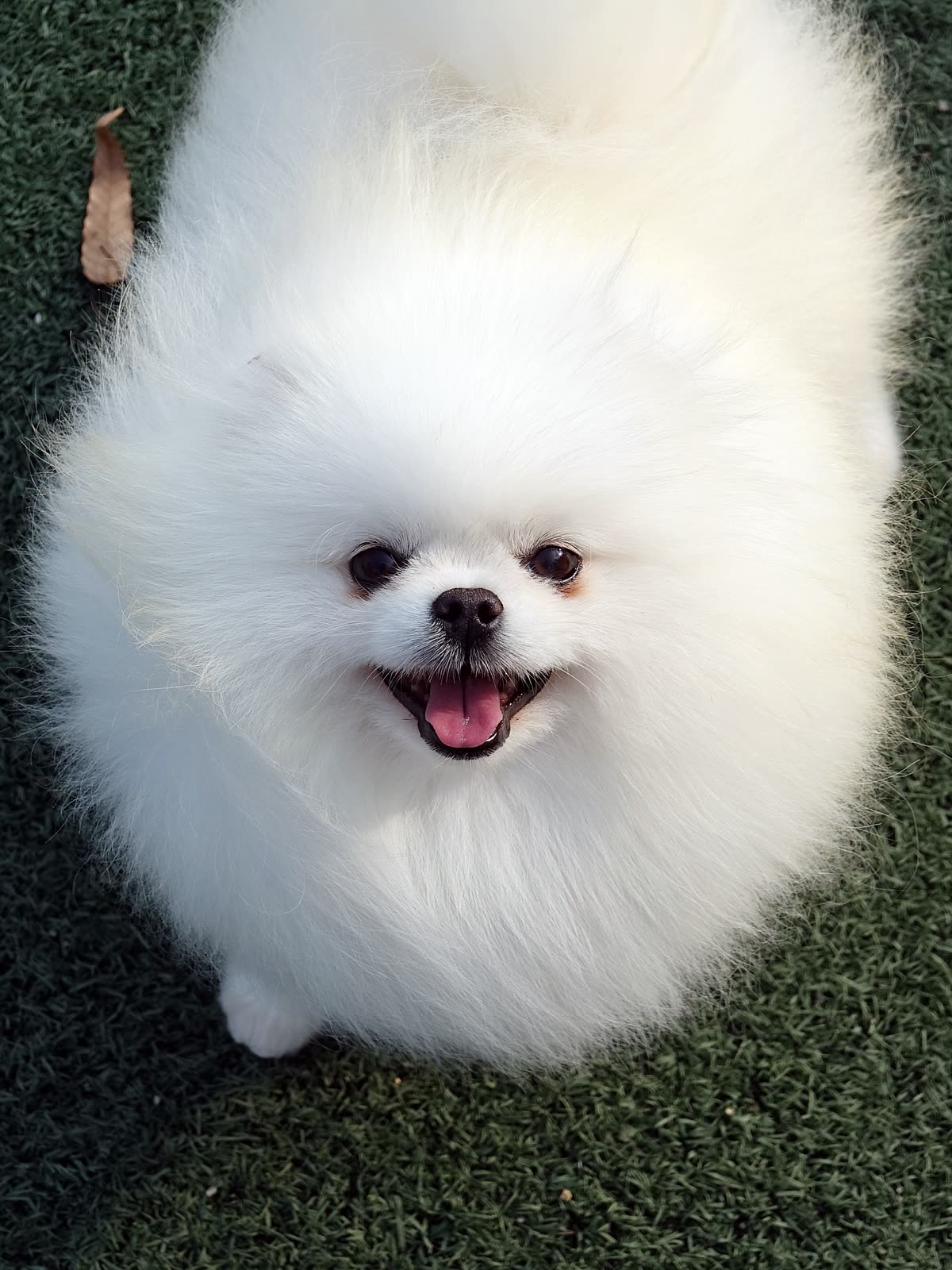 맹구 3