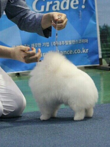 Mumyeong 2