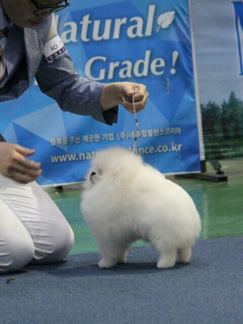 Mumyeong 3