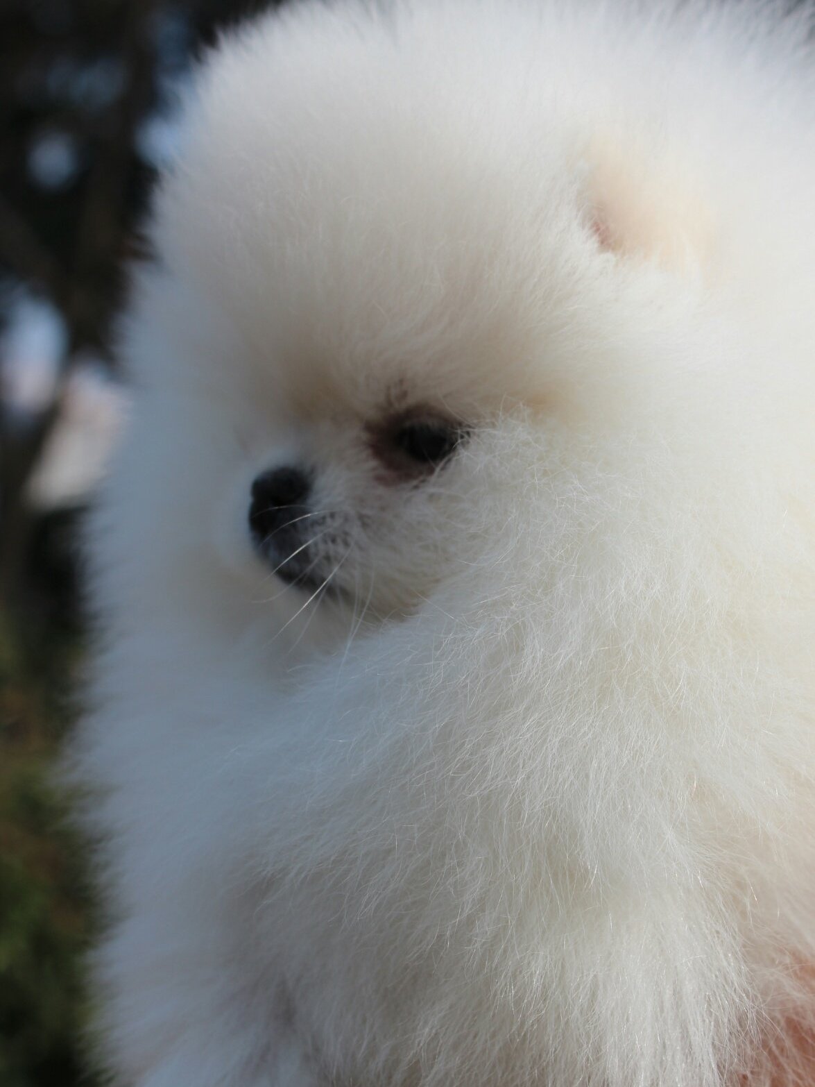 Mumyeong 4