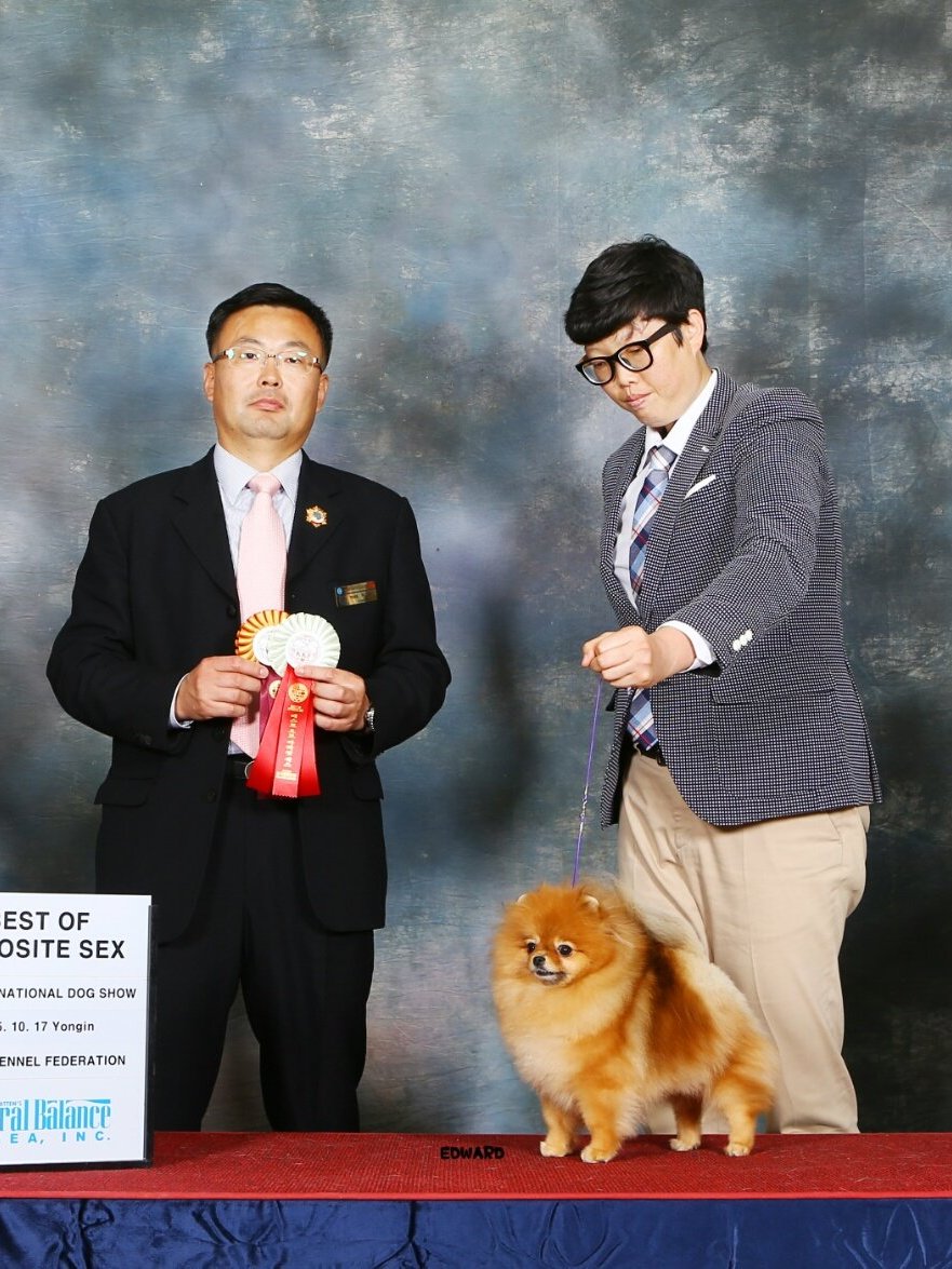 셀리 3