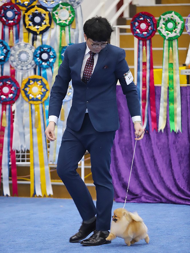 태희 6