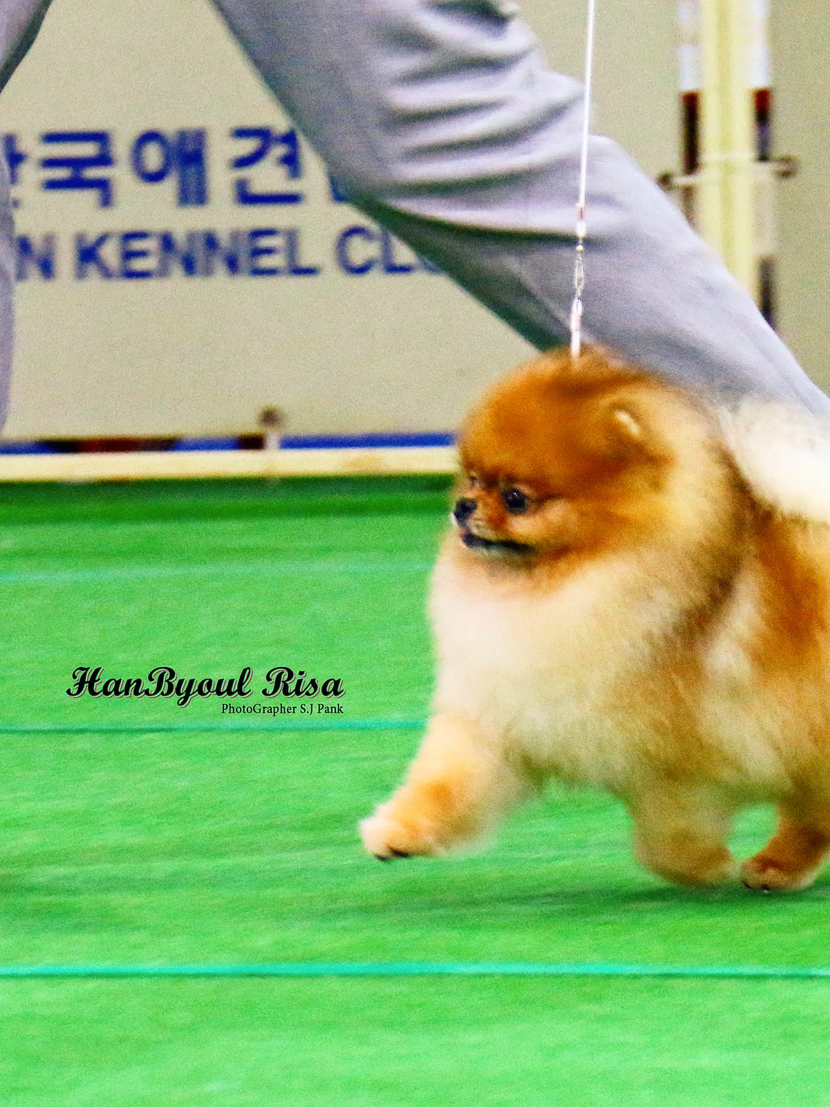 토니