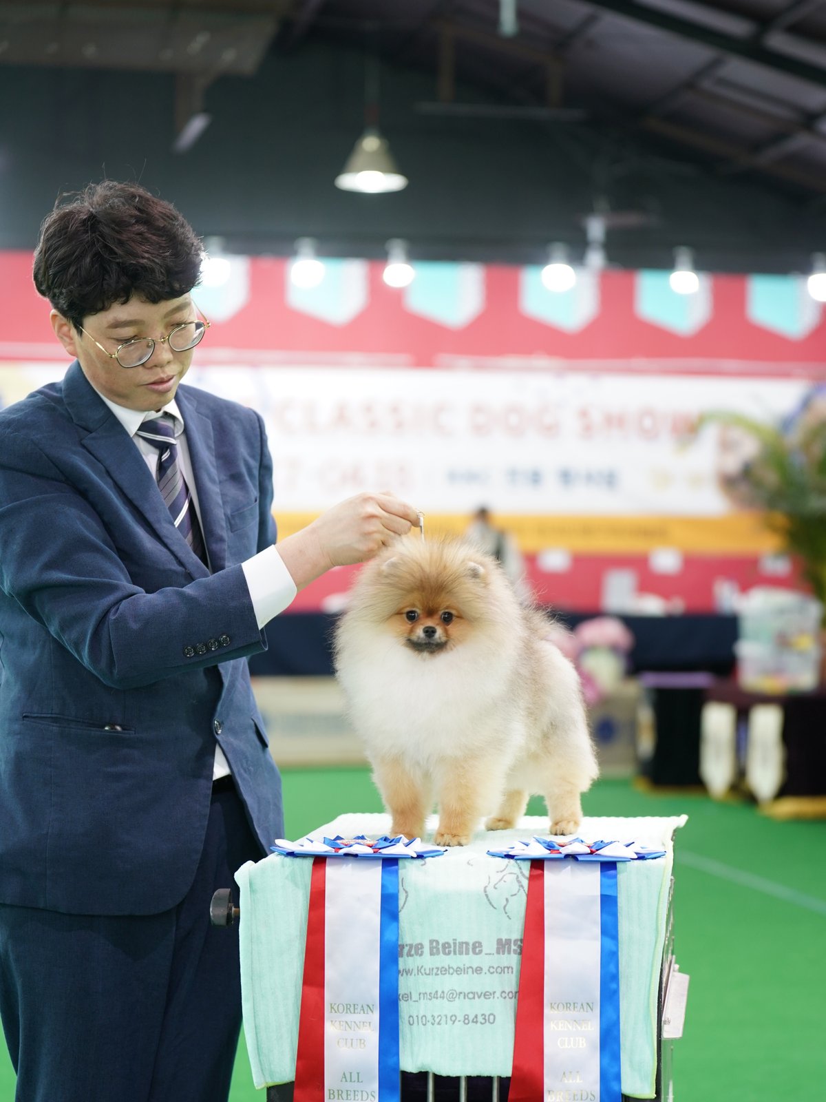 토리