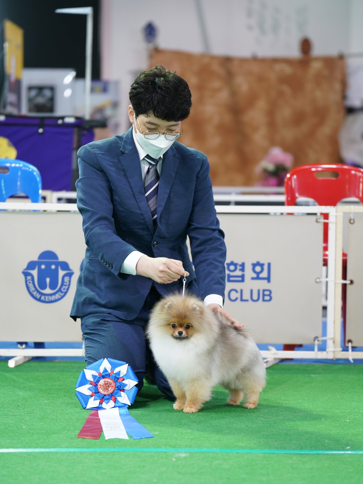 토리 2