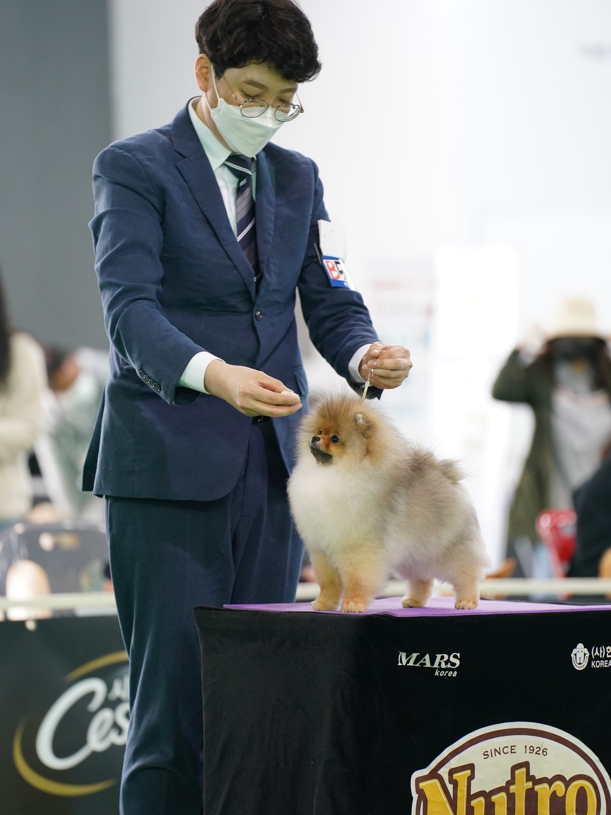 토리 4