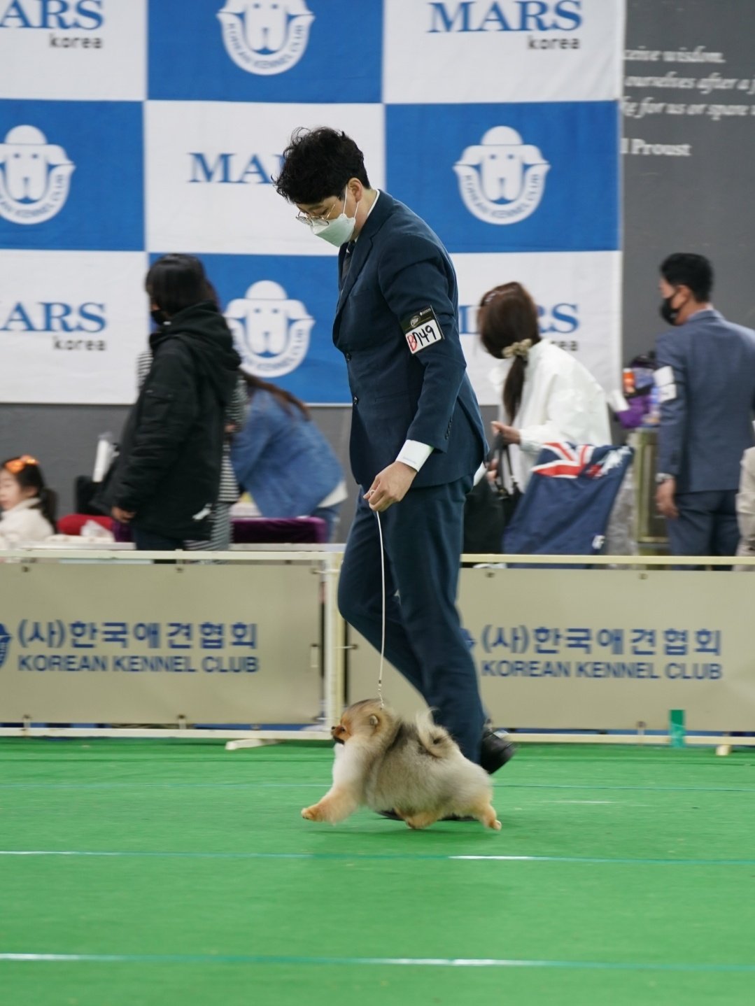 토리 5