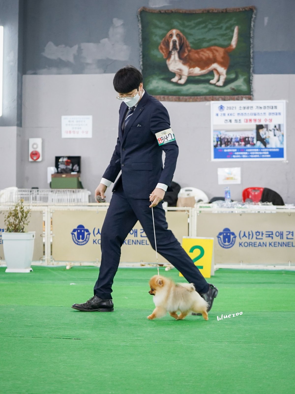 토토 3